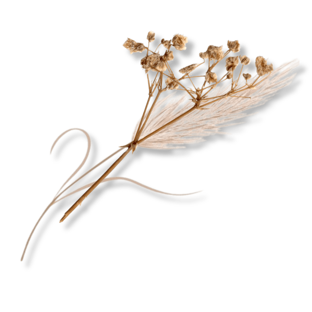 Flores decorativas