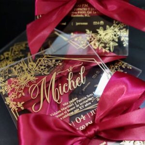 Tamaño DL (10x20cm) 100 unidades